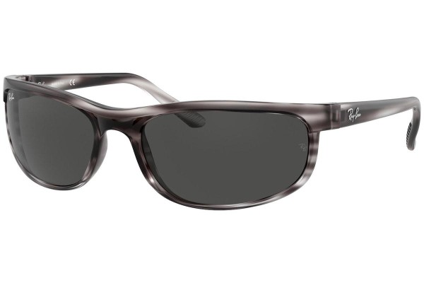 Ray-Ban Predator 2 RB2027 6430B1