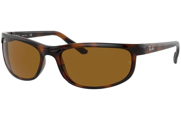 Ray-Ban Predator 2 RB2027 650833