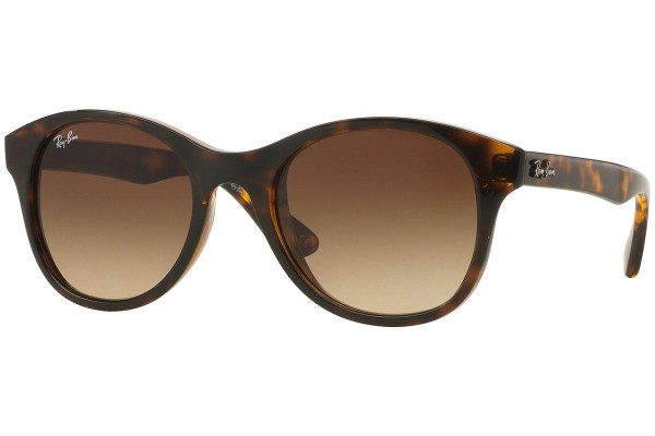 Ray-Ban RB4203 710/13