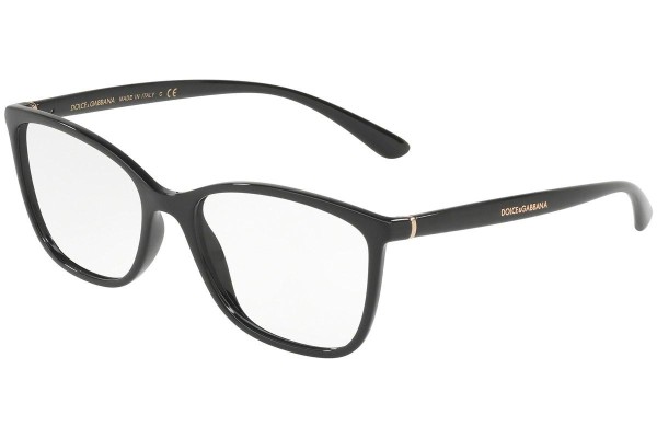 Dolce & Gabbana DG5026 501