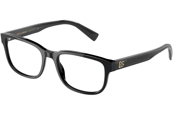 Dolce & Gabbana DG3341 501